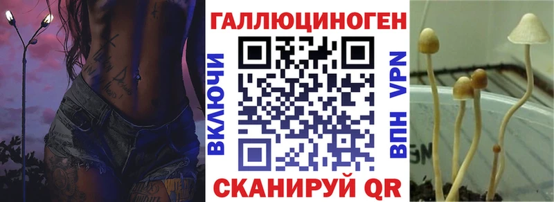 Псилоцибиновые грибы GOLDEN TEACHER Заречный